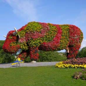 Ventspils "Ziedu govs" Ventspils "Ziedu govs"