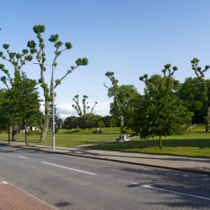 Parks - Zviedru valnis (Ventspils) Parks - Zviedru valnis (Ventspils)