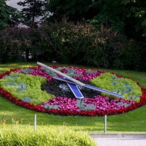 Ziedu pulkstenis Ziedu pulkstenis