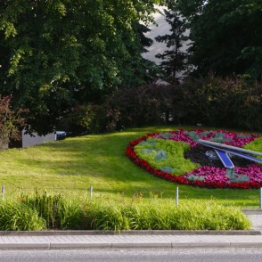 Ziedu pulkstenis Ziedu pulkstenis