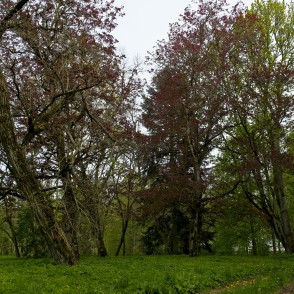 Struteles muižas parks Struteles muižas parks