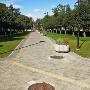 Holandes liepu aleja Ziedoņdārzā Holandes liepu aleja Ziedoņdārzā