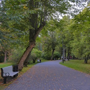 Koku aleja Liepājas Jūrmalas parkā ar soliņiem un bruģētu celiņu Koku aleja Liepājas Jūrmalas parkā ar soliņiem un bruģētu celiņu