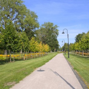 Wide Pedestrian Path in Ķemeri Resort Park with Tree Alleys Wide Pedestrian Path in Ķemeri Resort Park with Tree Alleys