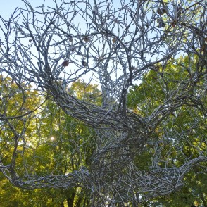 Vides objekts "Spoku koks" (Liepāja) Vides objekts "Spoku koks" (Liepāja)