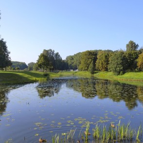 Bārta River with aquatic plants and a tranquil Skuodas city park landscape Bārta River with aquatic plants and a tranquil Skuodas city park landscape