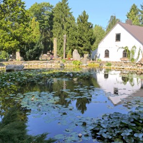 Pond with water lilies and a white building in a green garden landscape Pond with water lilies and a white building in a green garden landscape