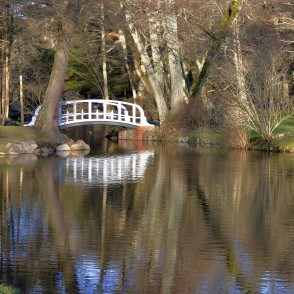 White footbridge over a pond in a Birutė park with tree reflections in the water White footbridge over a pond in a Birutė park with tree reflections in the water