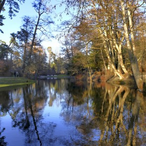 Birutė park canal with calm water and tree reflections in warm golden light Birutė park canal with calm water and tree reflections in warm golden light