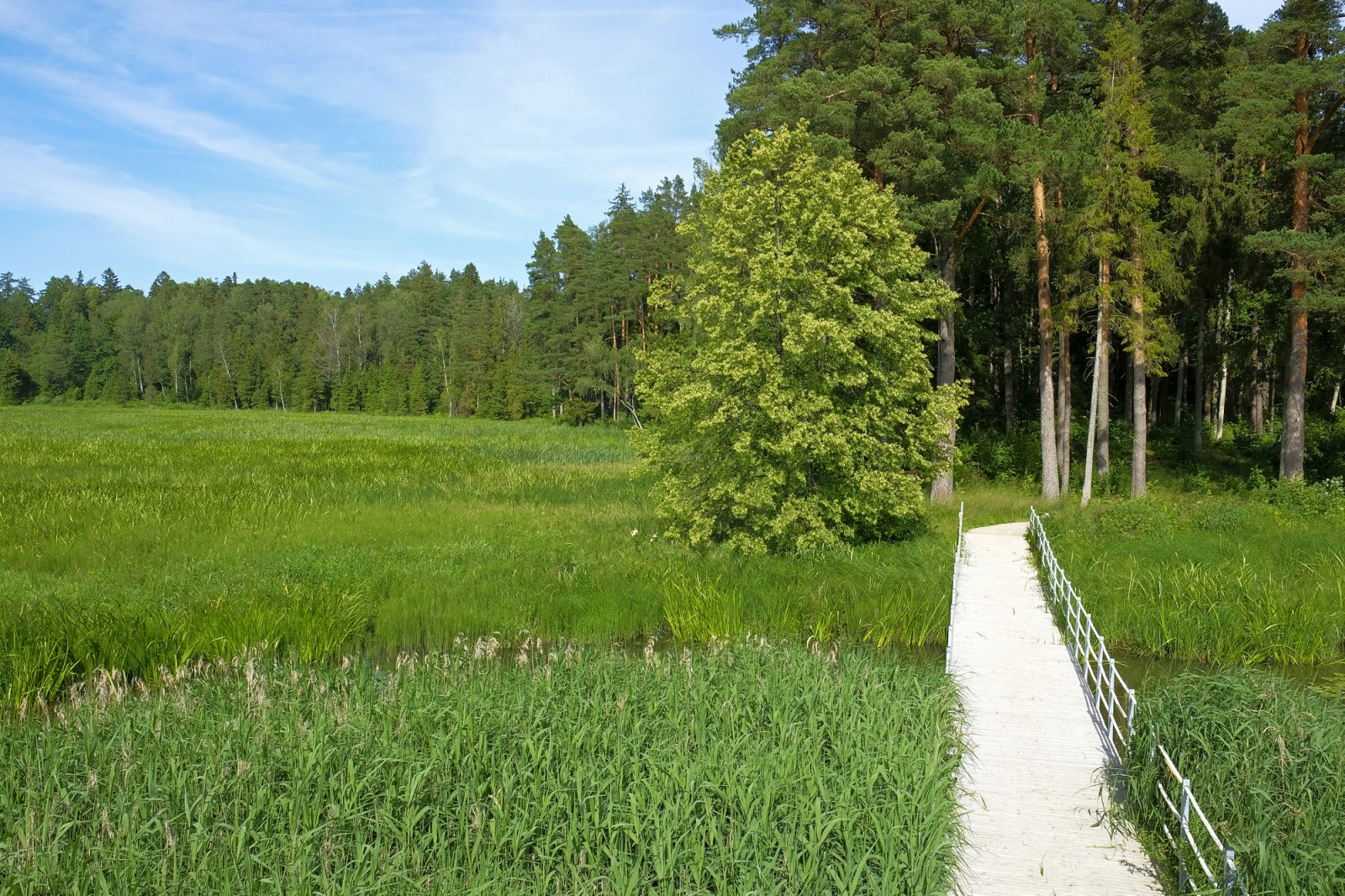 Kazdangas pastaigu takas