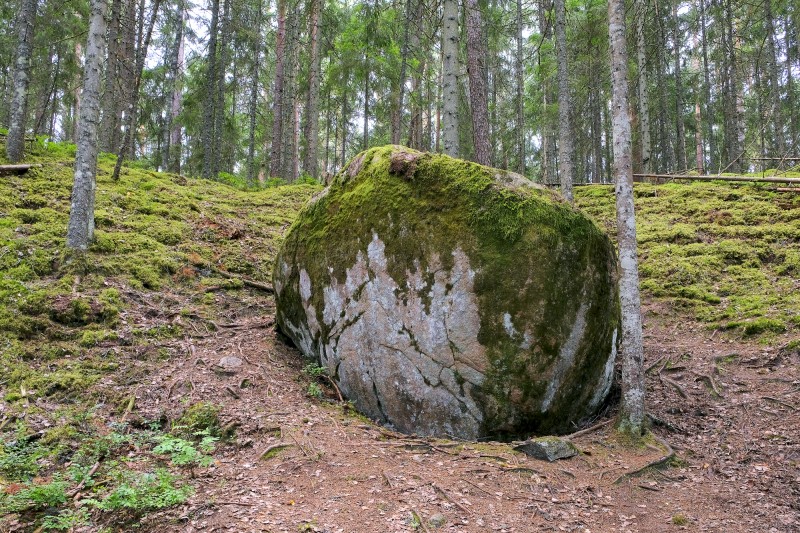 Stone, great trees - gotobaltic.com