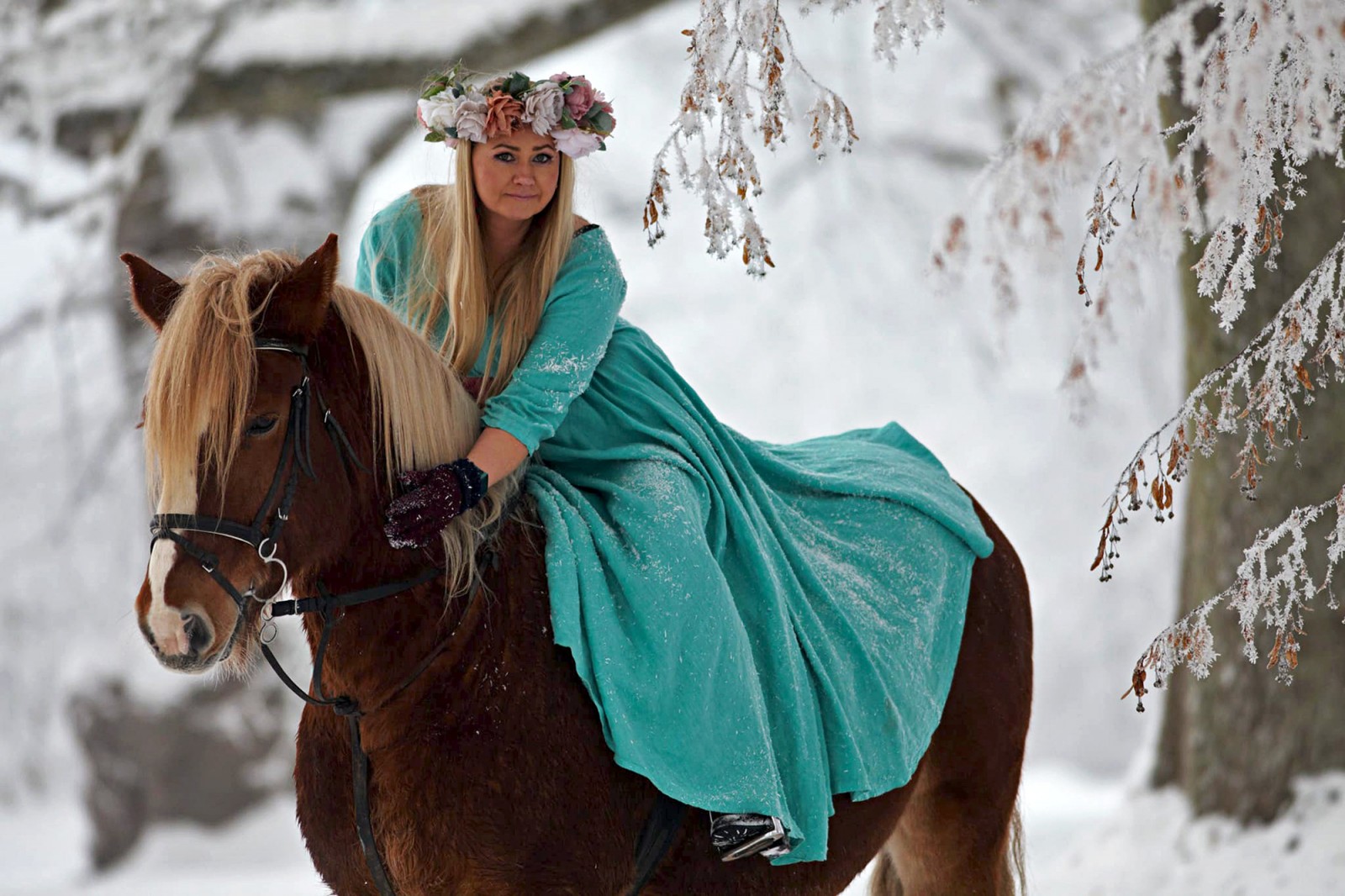Baiba Horses
