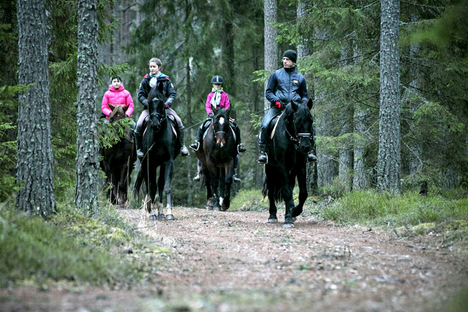 Equestrian Sports Club Morfijs