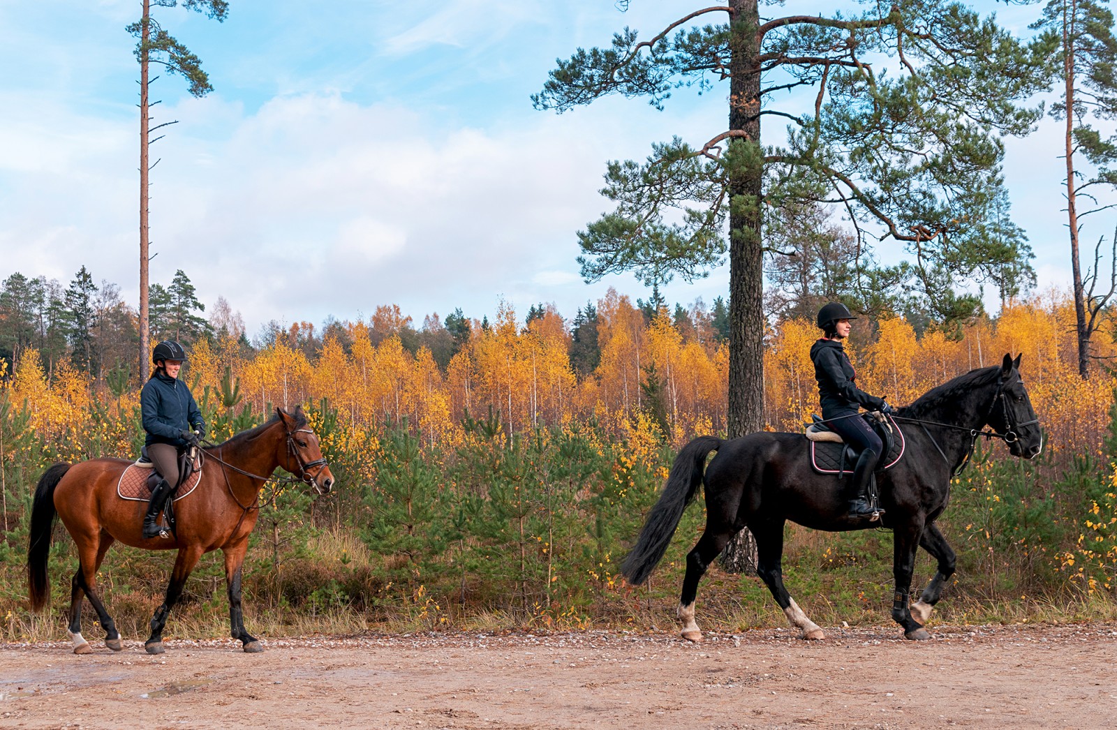 Equestrian sports club Potencials