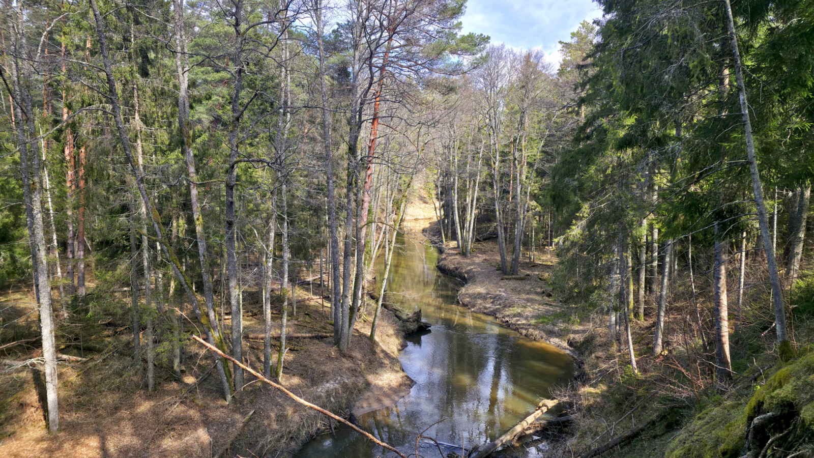 Dabas taka "Rīvas loki"