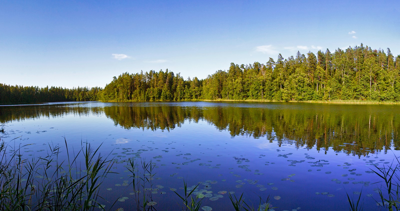 Mežmuiža lake